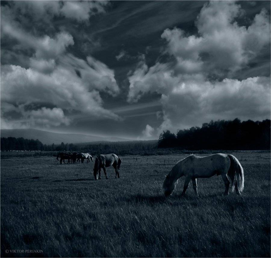 , Виктор Перякин