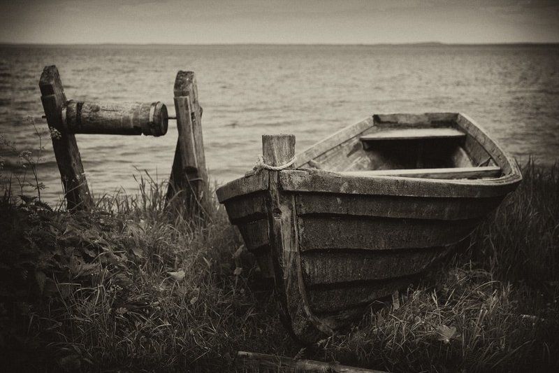 Мы родом из моря фото превью