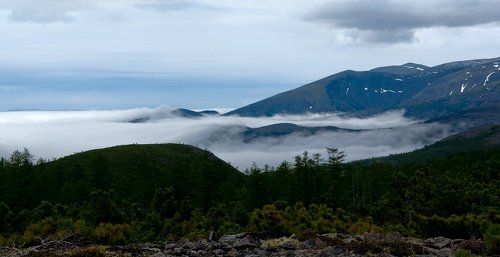 Mist
