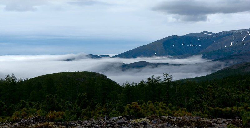 mist, туман Mist фото превью