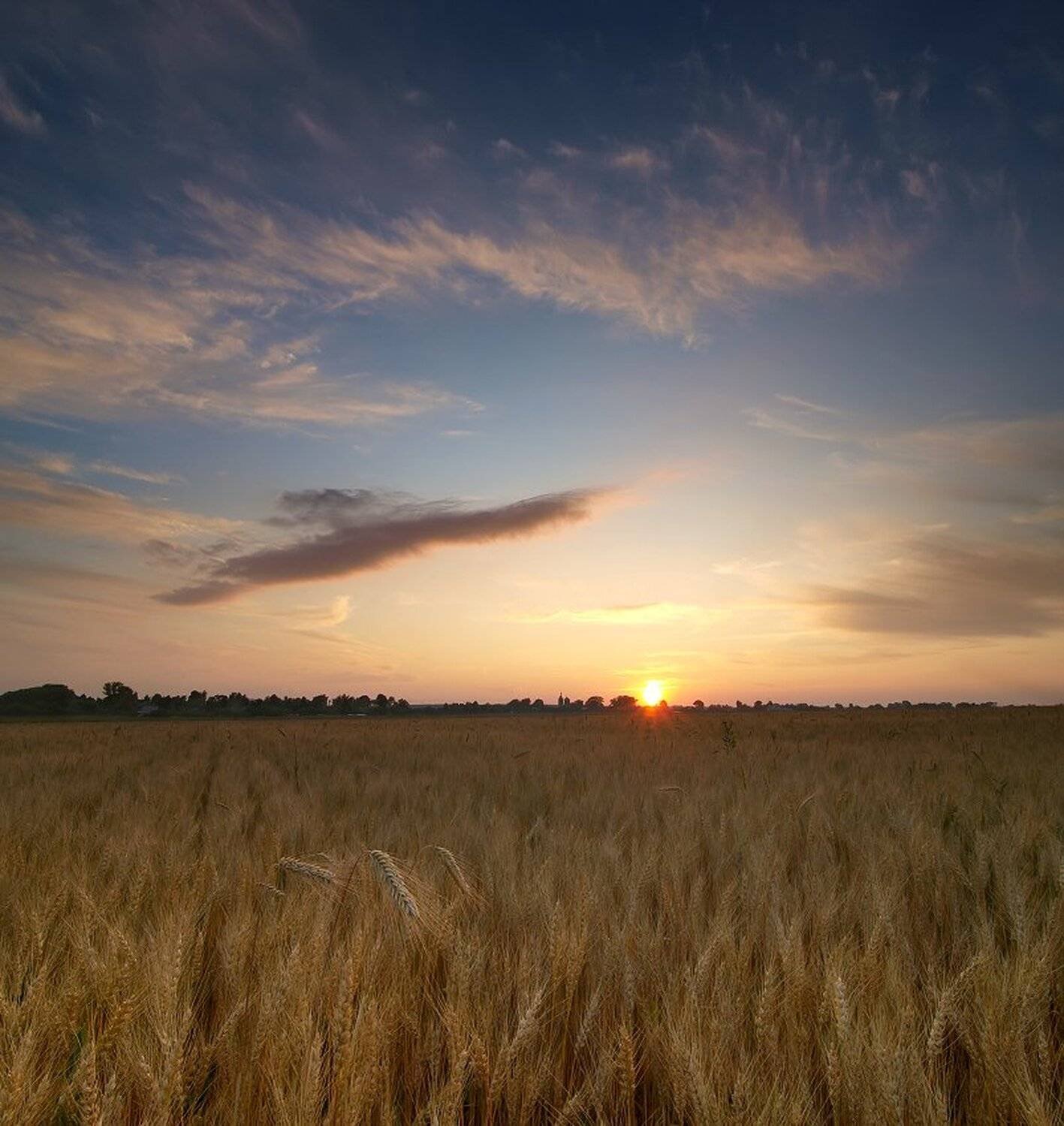 , Максим Евдокимов