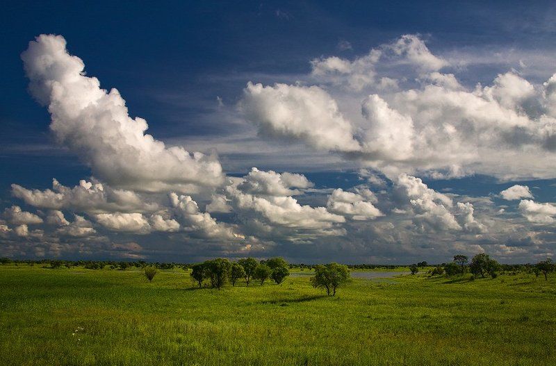 *** фото превью