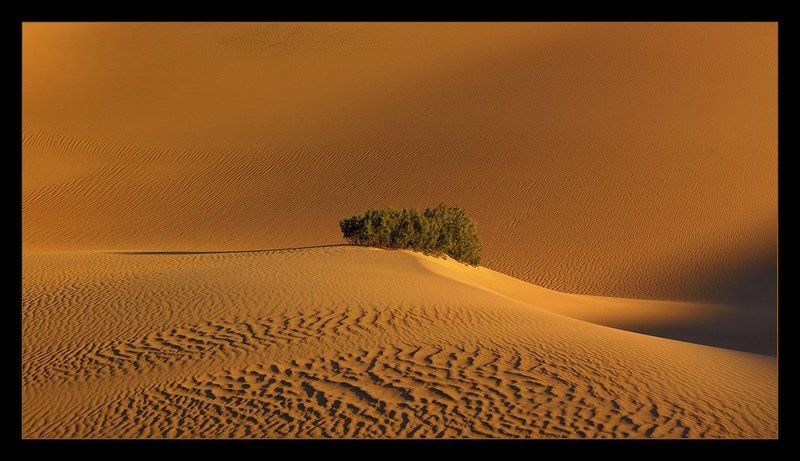 Oasis фото превью