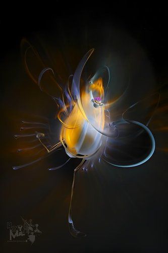 Песня майского жука  (Светографика - Световые сдвиги 2008-2009 )