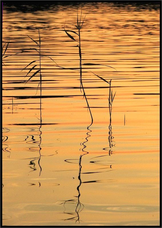 автограф на воде фото превью