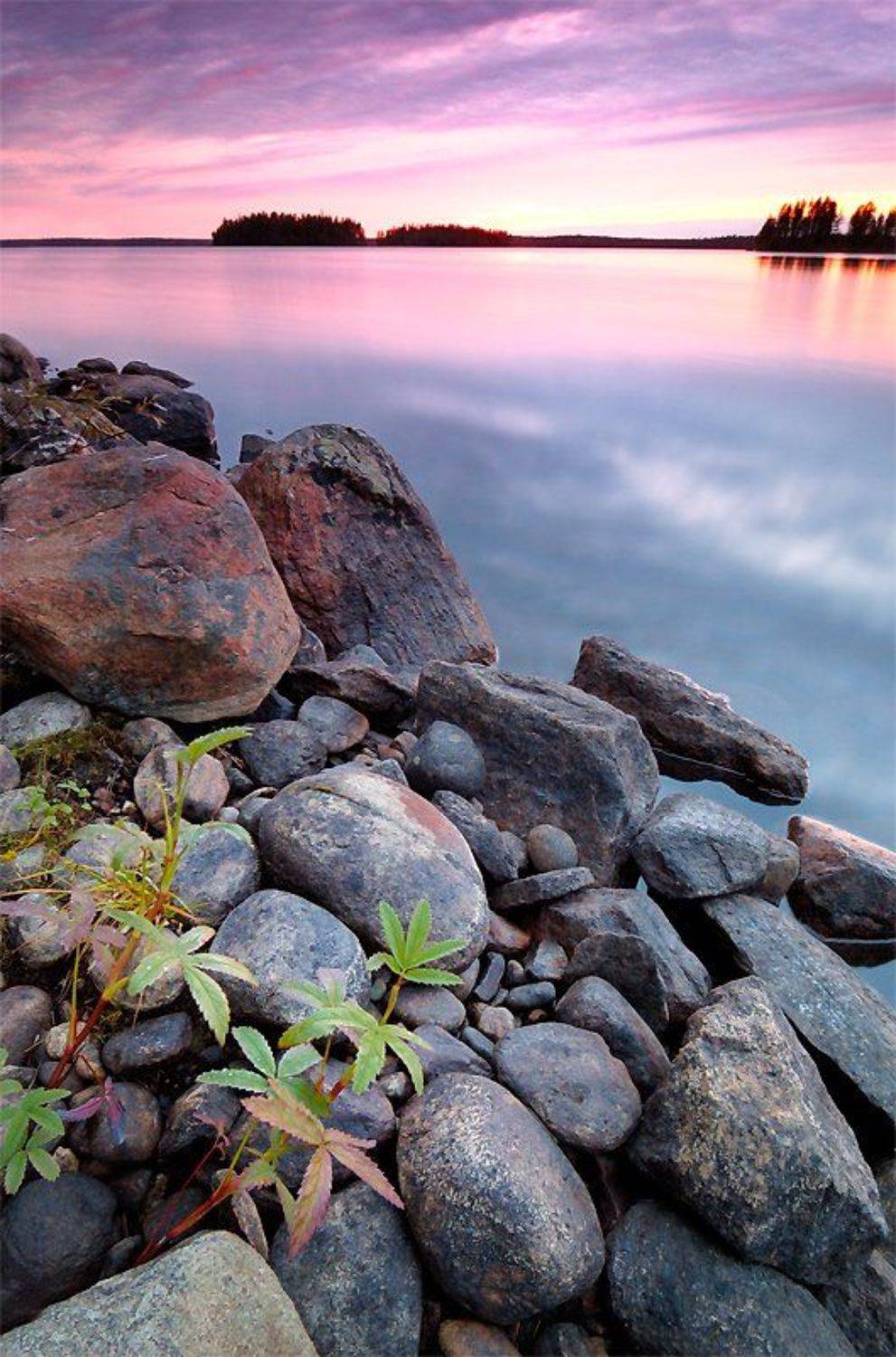 , Токарь Дмитрий