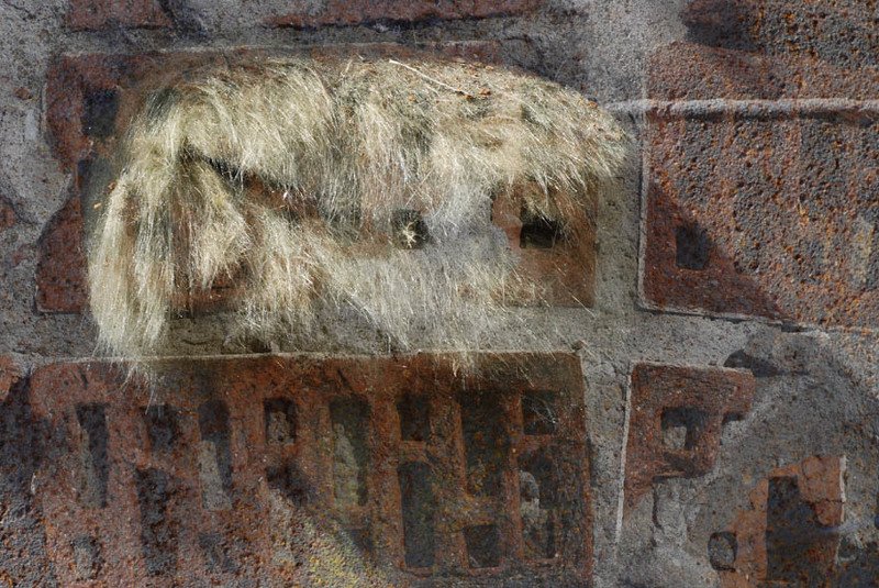 Фантом в душе. фото превью