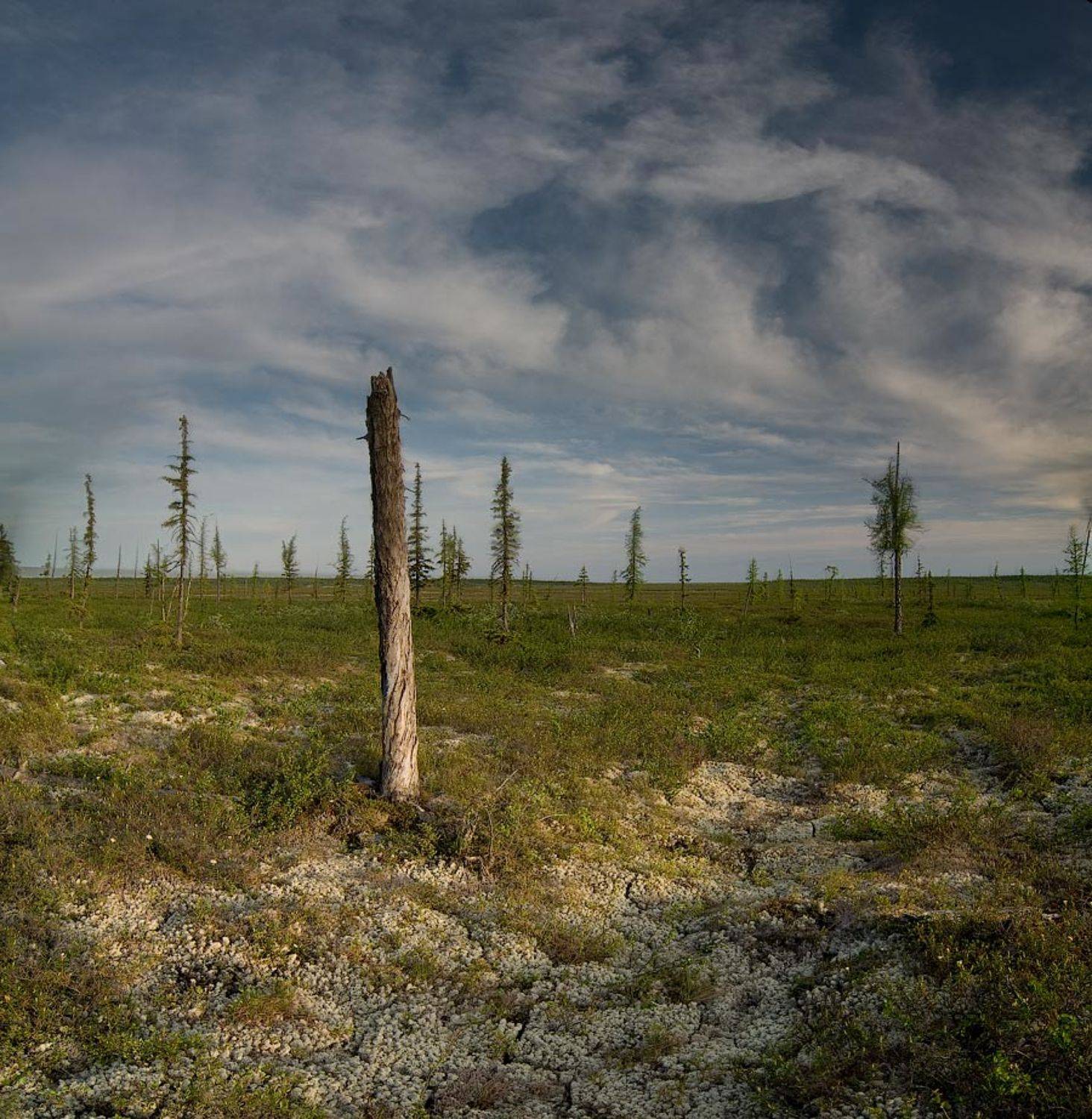 , Дмитрий Милосердов