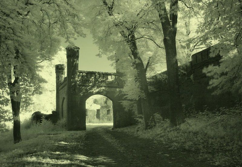 Ворота бывшего орденского замка Гердауэн фото превью