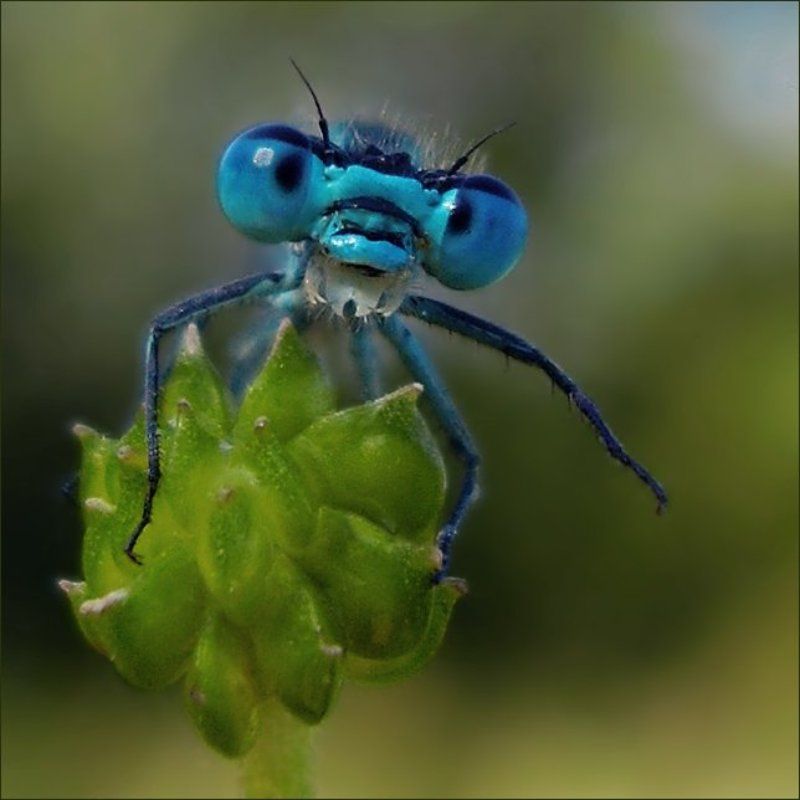 Всем привет! фото превью