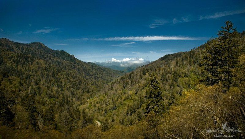 Above The Line фото превью