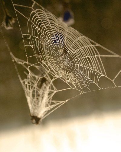 Как в жизни...