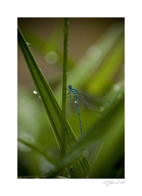 Нам не узнать... фото превью