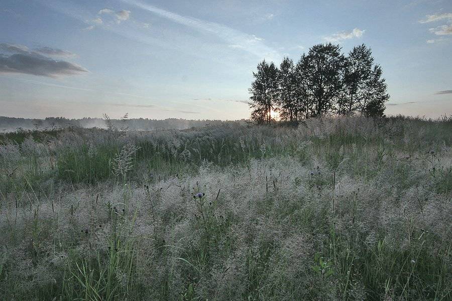 , Максим Юлдашев