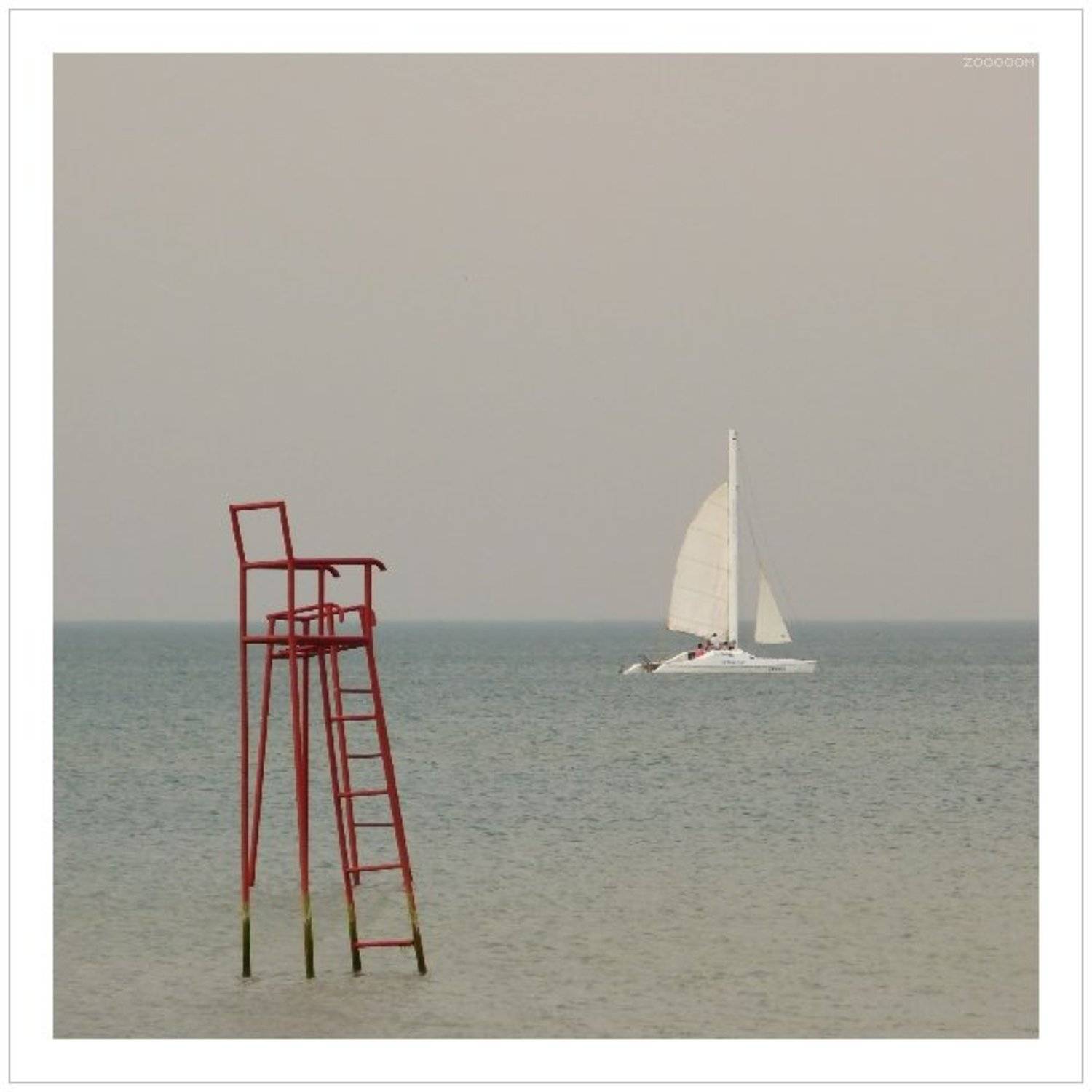 море, Алексей (zooooom)