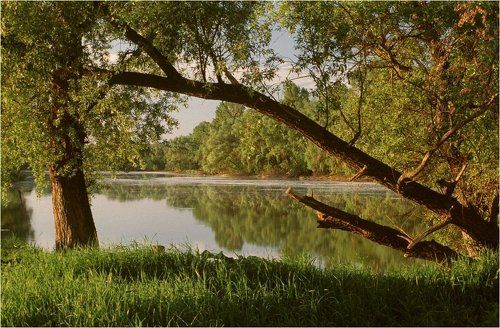 Раннеутренняя картинка 