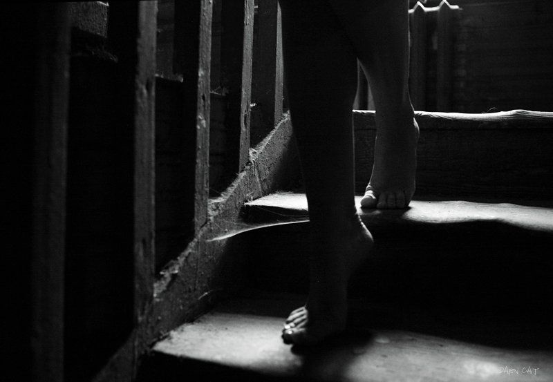 тихий, шаг, прошлого, паутина, ступени, ноги Тихий шаг прошлого фото превью