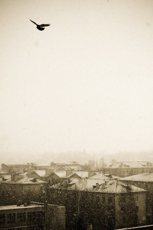 город, зима Сказка фото превью