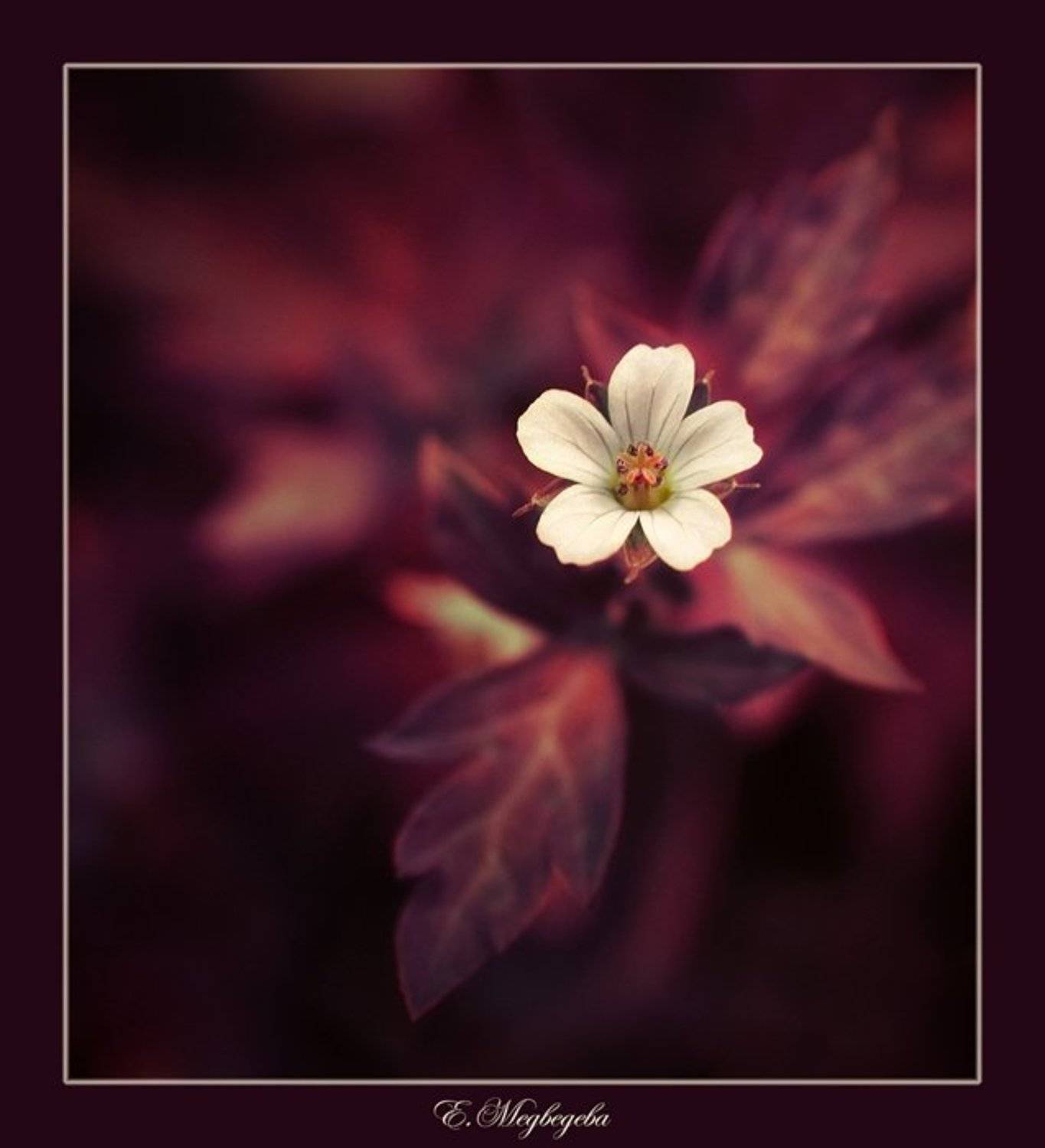 , Девушка-Солнце