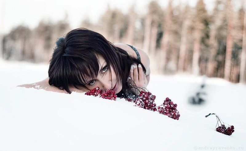 LOLita 3 фото превью