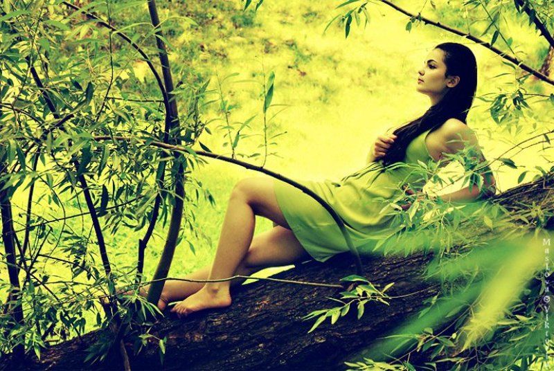 Солнечным днем фото превью