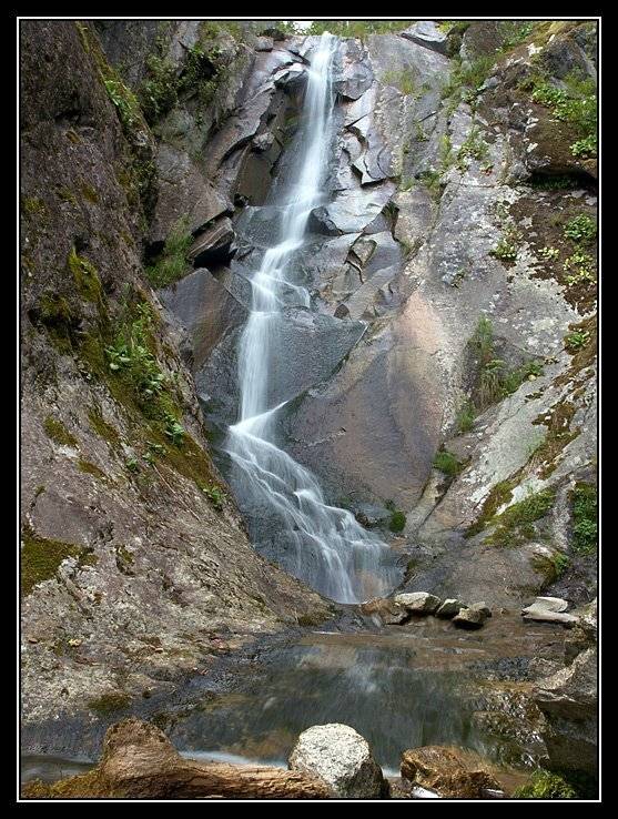 алтай, телецкое, озеро, алтай, Юрий Фролов