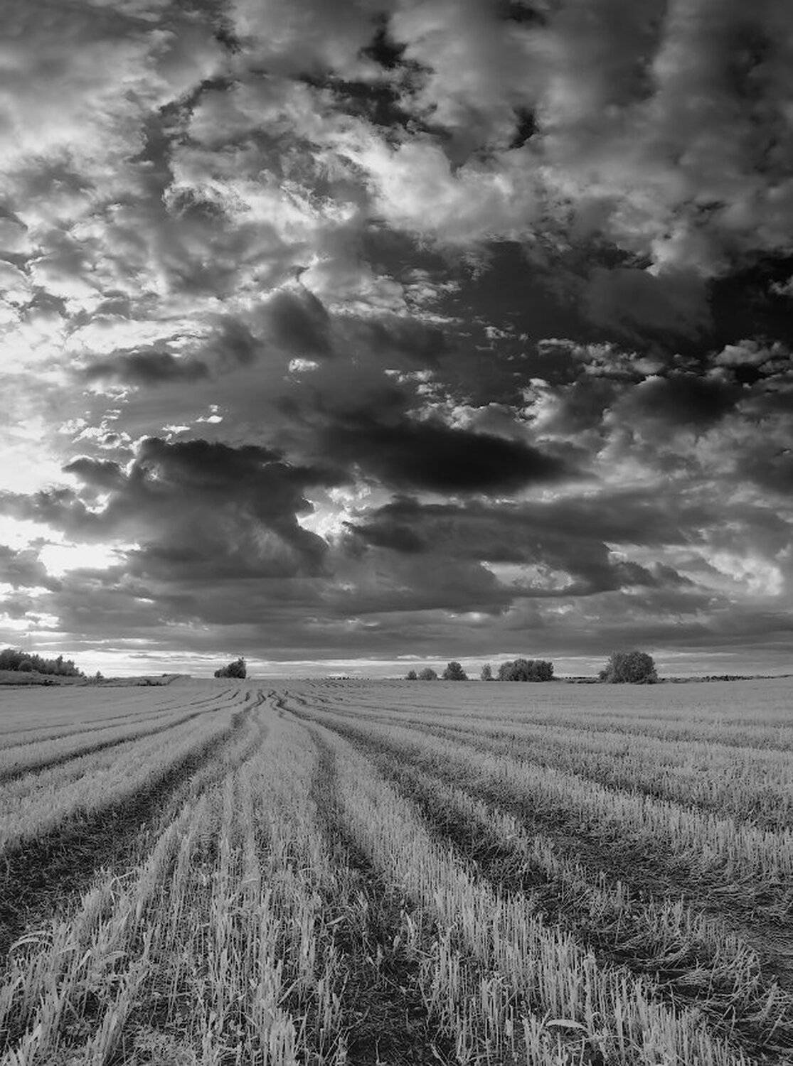 , Максим Евдокимов