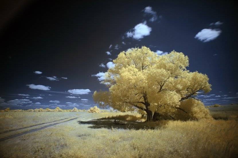 ик, Эдуард VTORNIK  Николаев