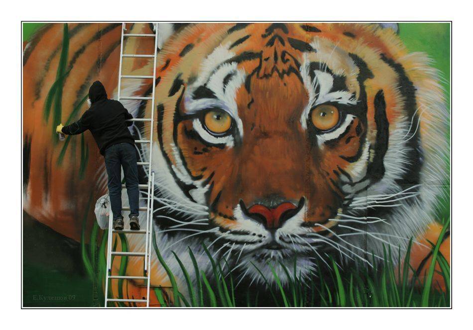 граффити, город, краски, улицы, москва, кулешов, сафаров тимур, энергия мечты, Кулешов Евгений