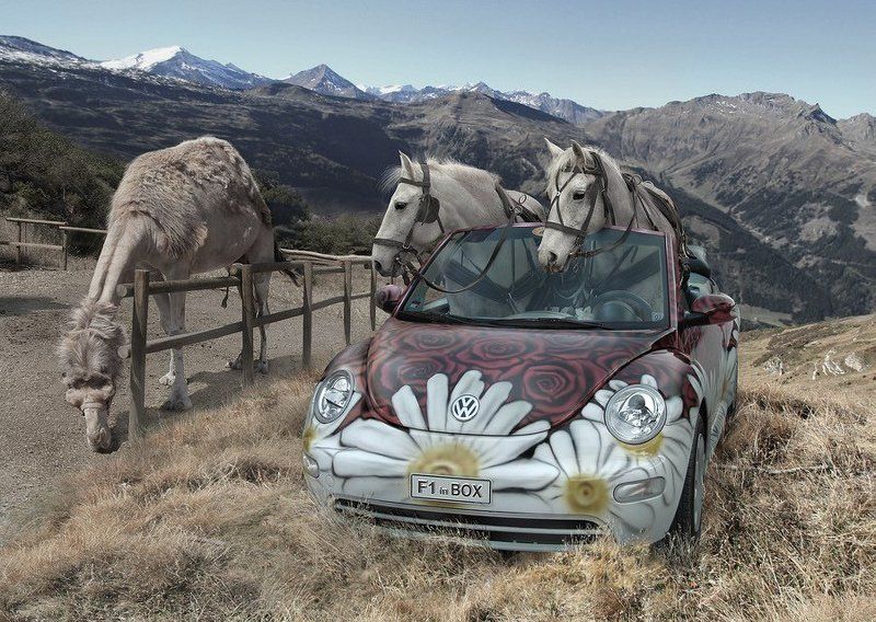 разные Алло, гараж фото превью