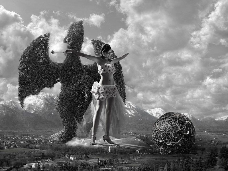 разные Глобус №8 фото превью