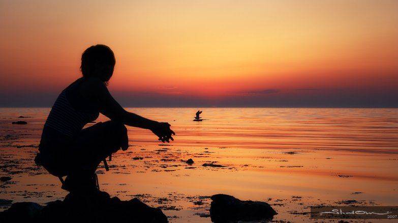 shd, www.shad0w.ru, SHD