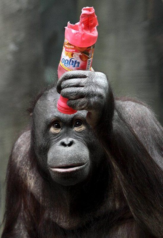 И где ж ты, чудо? фото превью