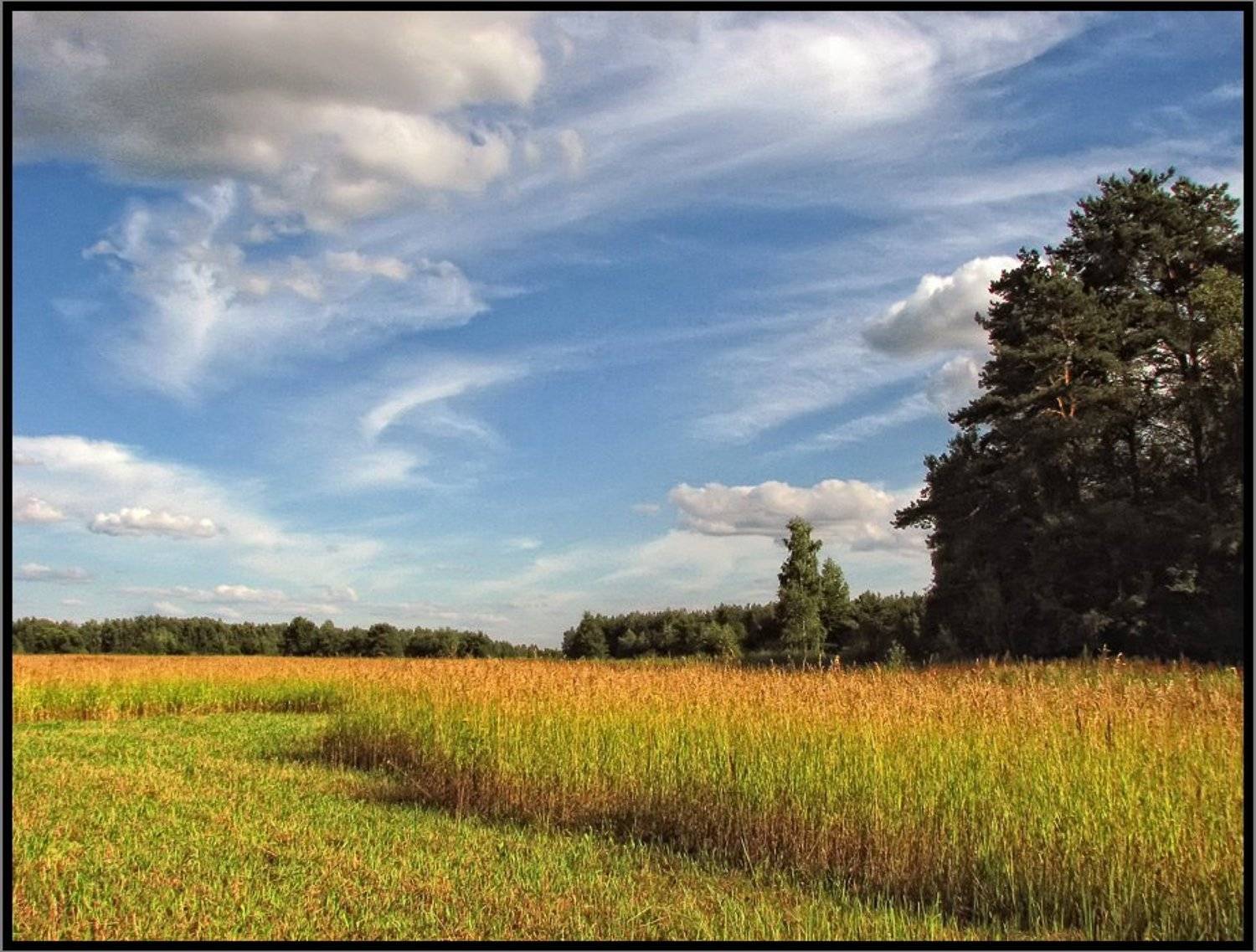 , Лунный Ежик