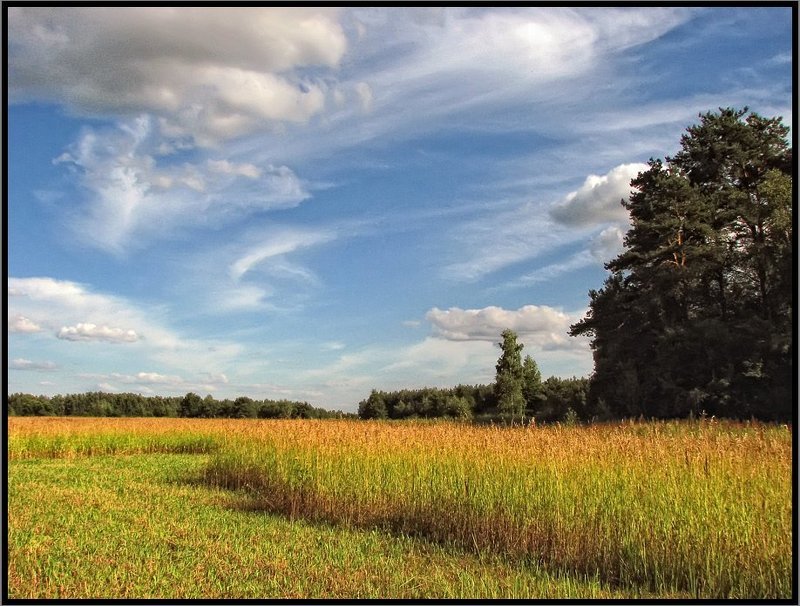 Летний пейзаж фото превью