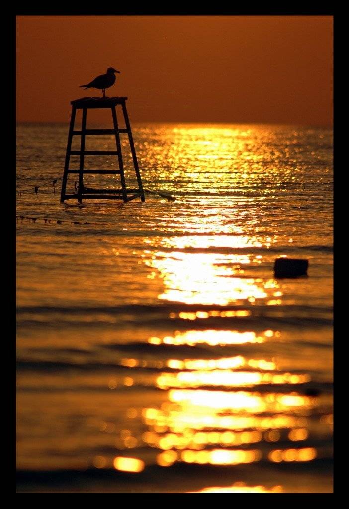 , Дмитрий Г.