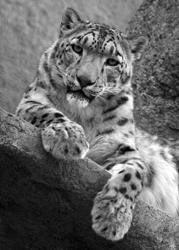 Царь горы фото превью