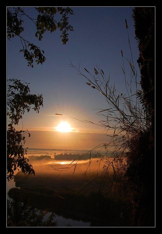 туман, река, утро, колосок, восход, небо Утро туманное... фото превью