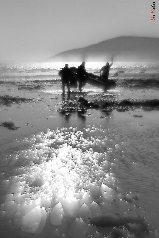 магадан, монокль, отлив, нагаевская, Sir Fisher