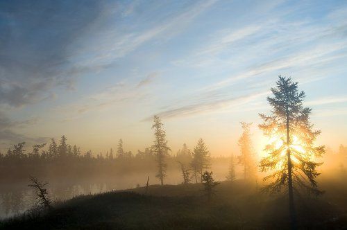 Утро туманное#6