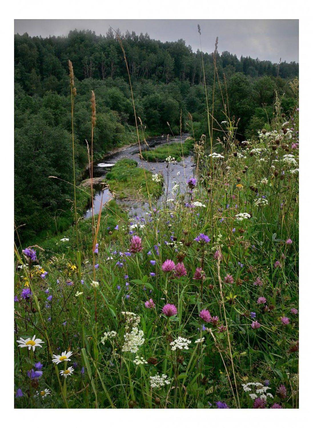 , Лариса Запатрина