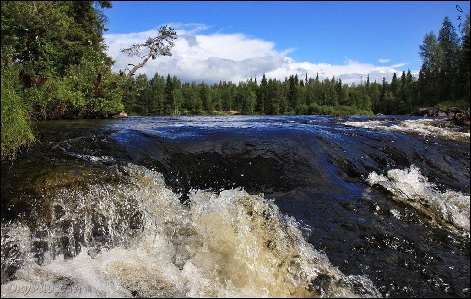 russia, россия, север, north, мурманская область, тунтсайоки, река, river, Оксана Борц