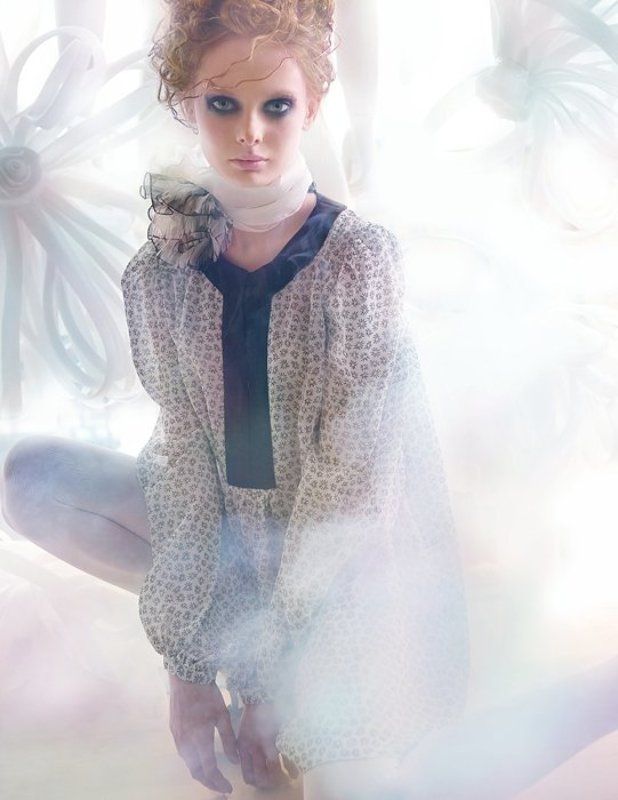 Magnolia фото превью