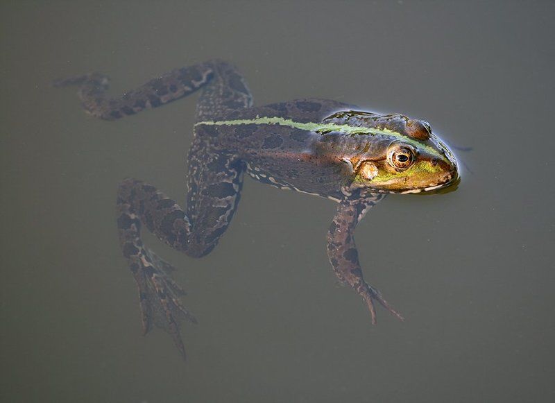 У каждого своя светлая полоса фото превью