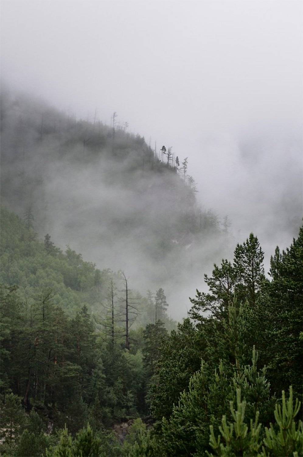 байкал, тункинская долина, саяны, пос. аршан, 2009, туман, горы, Kaiser Sozo