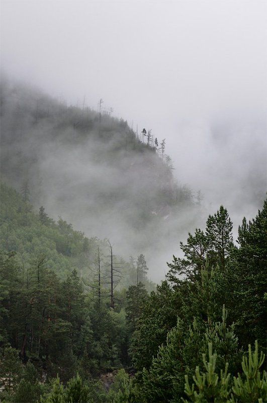 байкал, тункинская долина, саяны, пос. аршан, 2009, туман, горы молоко фото превью