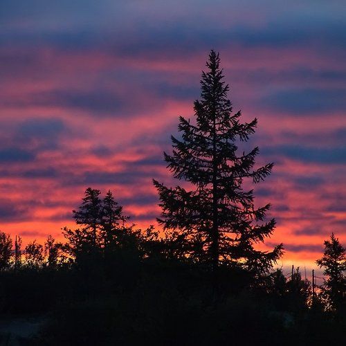 предрасветная