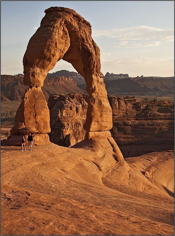 Деликатная. фото превью