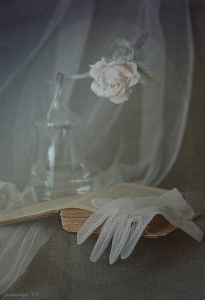 книга, натюрморт, фото, Ольга Горелова