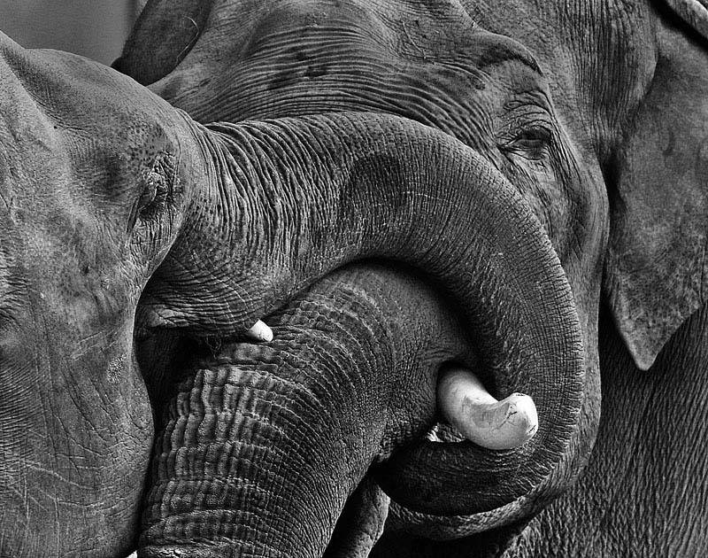 , Максим Юлдашев